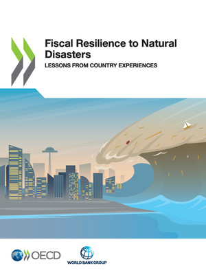 : Fiscal Resilience to Natural Disasters: Lessons from Country Experiences