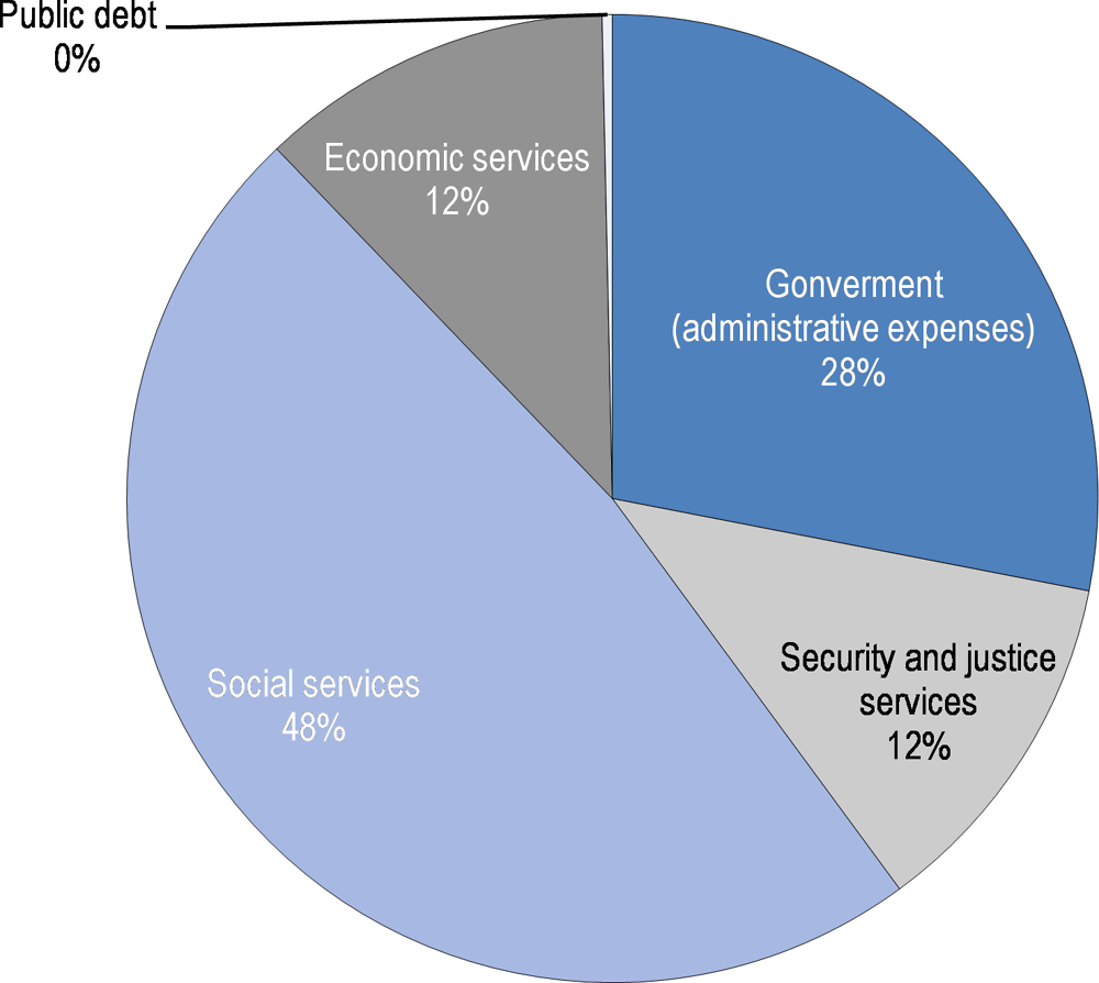 Figure 1.2. Budget expenditures (2018) 