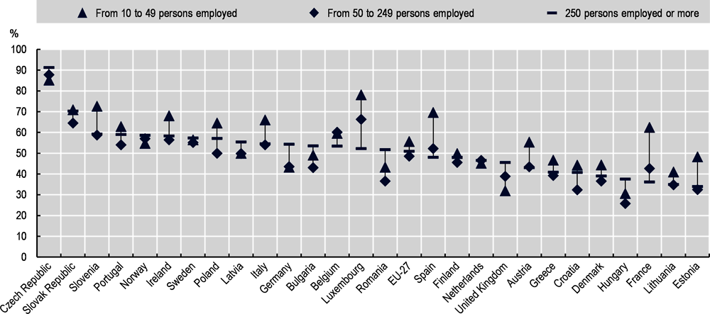 Figure 6.9. SME employees are also less engaged in continuing vocational training