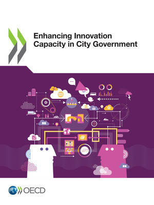 : Enhancing Innovation Capacity in City Government: 