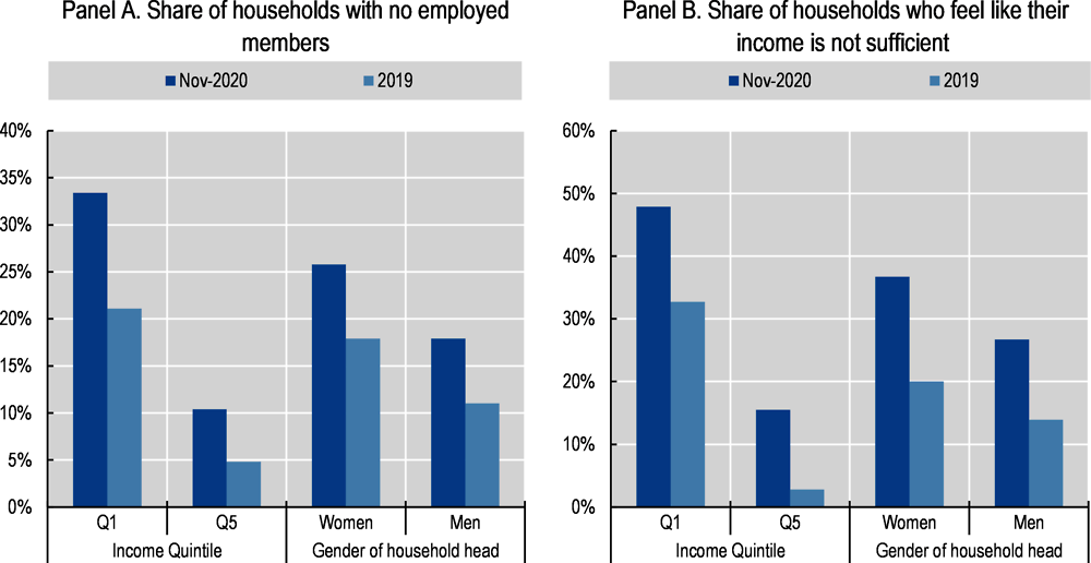 Figure 5.15. In November 2020, 26% of women-led households and 33% of households in the bottom income quintile in Chile had no employed members