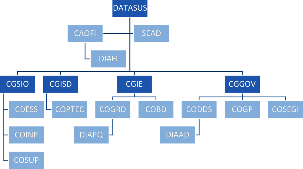 Figura 4.1. Estrutura do DATASUS