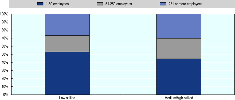 Figure A A.2. Low-skilled workers are more common in small companies