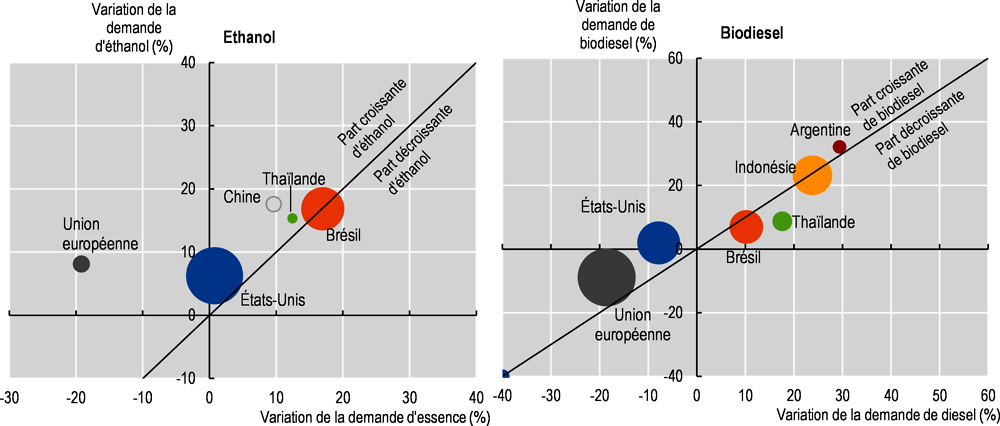 Graphique 9.1. Évolution de la demande de biocarburants dans les grandes régions