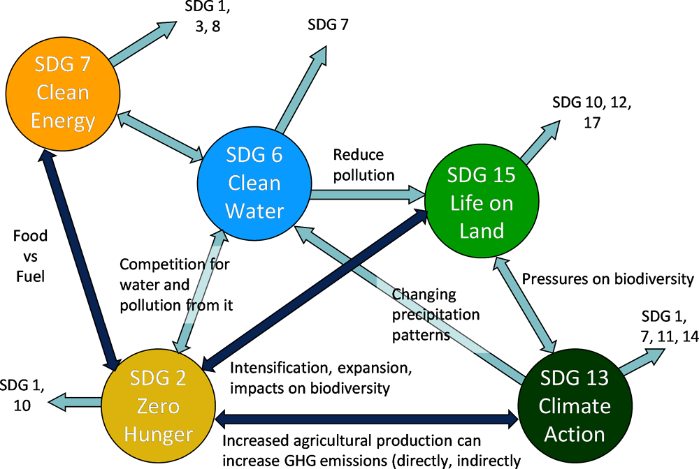 Figure 1.4. Interactions between selected SDGs