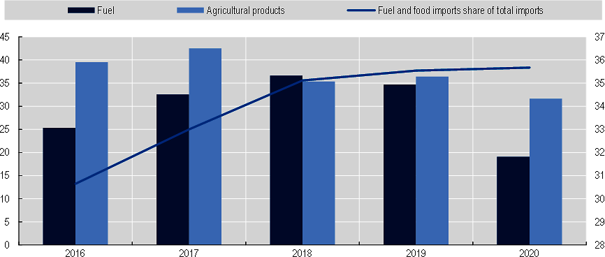 Figure 1. More than one third of MENA imports relate to food and fuel and their share had increased during the pandemic