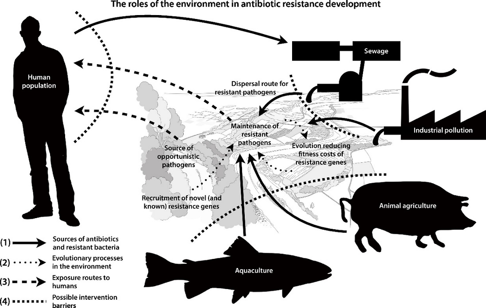 Figure 1.5. The roles of the environment in the development of antimicrobial resistance