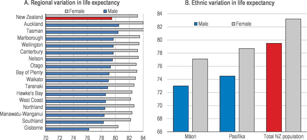 Figure 1.4. Inequalities in health outcomes in New Zealand