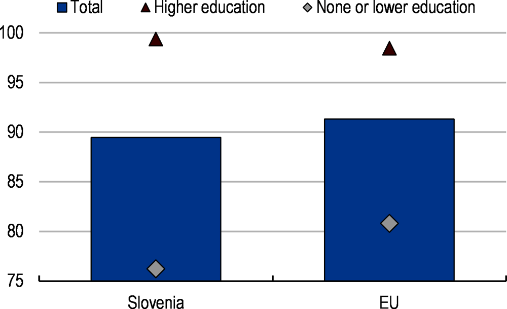 Figure 3. Many Slovenians are still offline