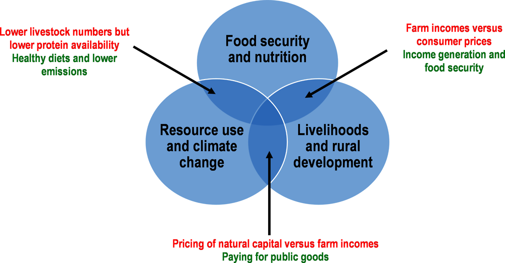 Figure 1.1. Examples of synergies and trade-offs in food systems