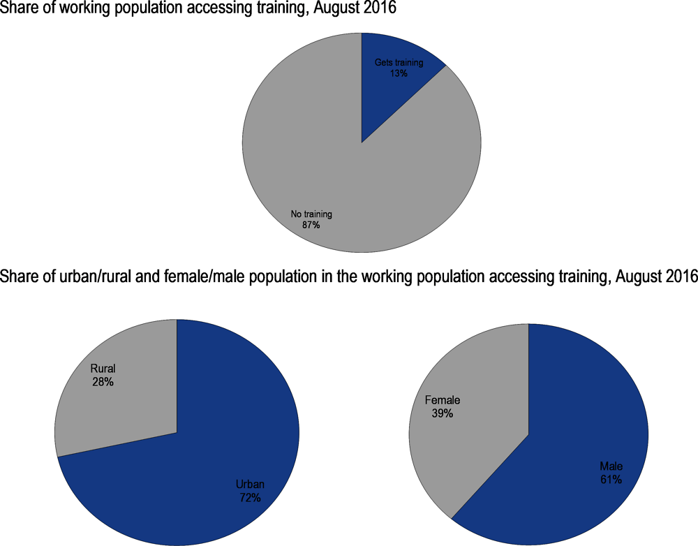 Figure 3.4. Few workers get trainings, and those who do are mainly men living in urban areas