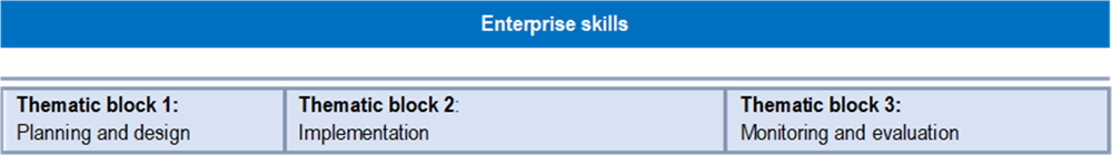 Figure 9.2. Assessment framework for Dimension 8a: Enterprise skills