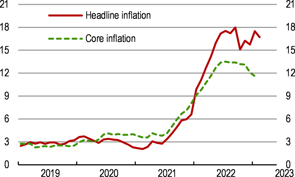 Figure 1. Inflation has risen sharply 