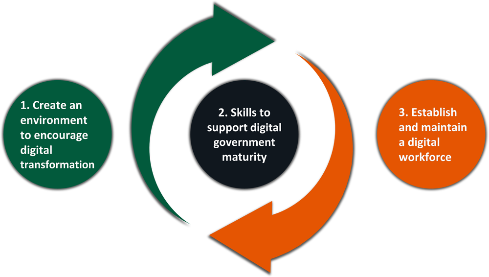 Figure 3.6. OECD Framework for Digital Talent and Skills in the public sector
