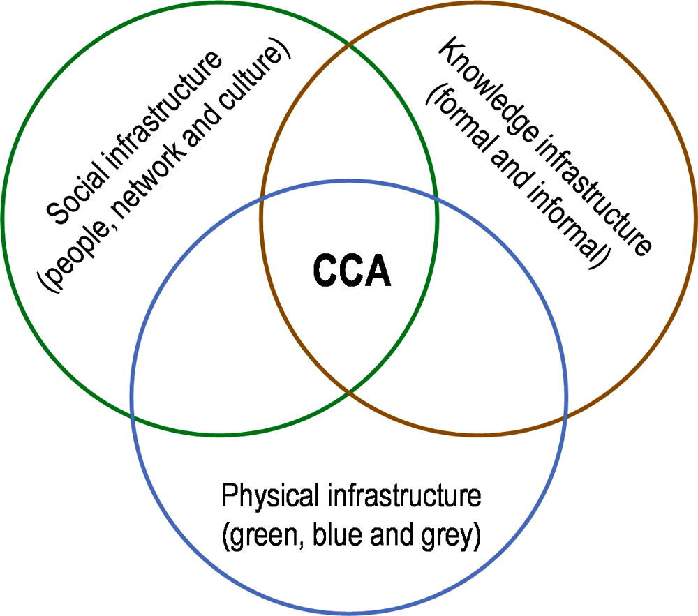 Figure 3.6. The three integrated infrastructures of climate change adaptation (CCA)