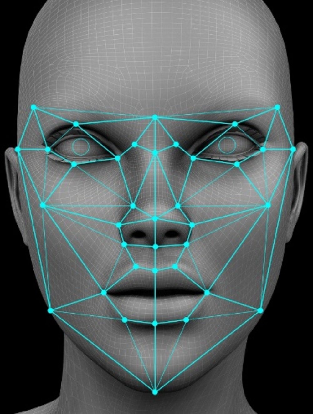 Figure 3.4. Illustration of face-recognition software