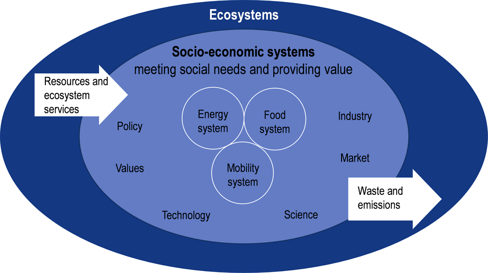Figure 1.1. An illustration of a socio-economic system