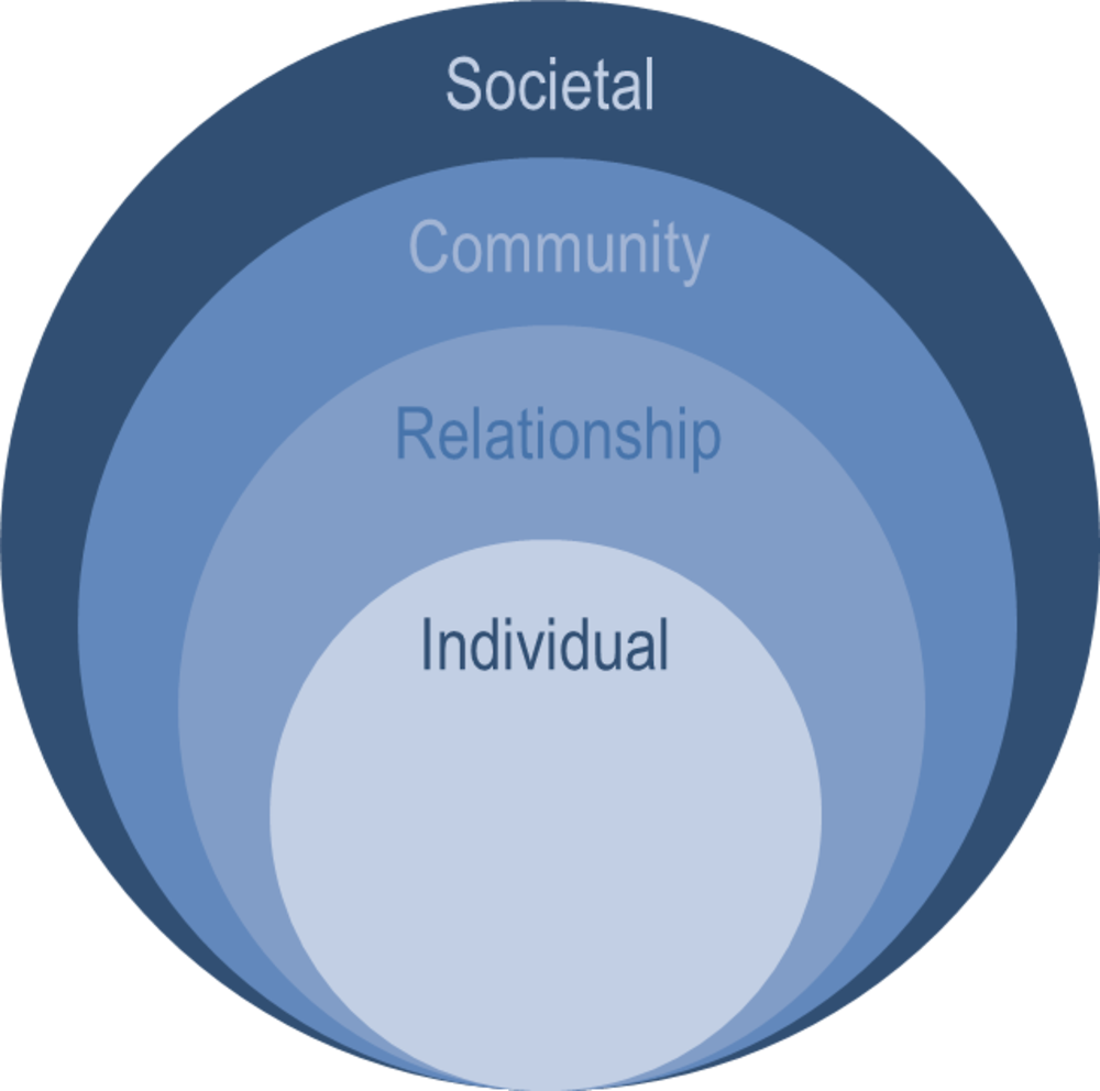 Figure 7.1. Environments influencing the development of adolescents