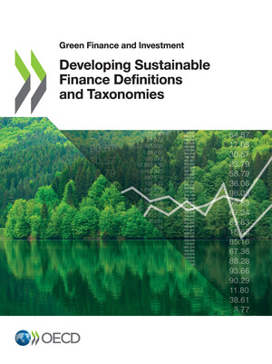 Green Finance and Investment: Developing Sustainable Finance Definitions and Taxonomies: 