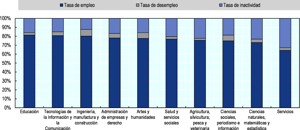 Gráfica 4.9. Resultados de los jóvenes egresados de educación superior (25-34 años) el mercado laboral de México por campo de formación académica, 2017 