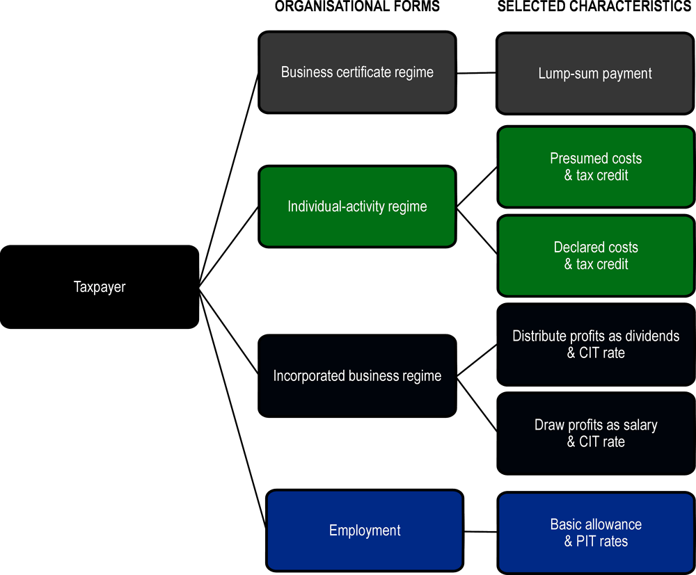 Figure 5.3. Stylised illustration of organisational forms